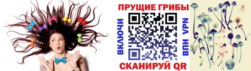 Галлюциногенные грибы мицелий  как найти   Дальнереченск 