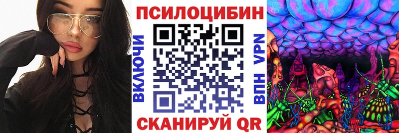 Галлюциногенные грибы Psilocybine cubensis Дальнереченск